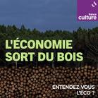 17819463780253968202 - L'économie sort du bois : un podcast à écouter en ligne | France Culture - Quimper Brest